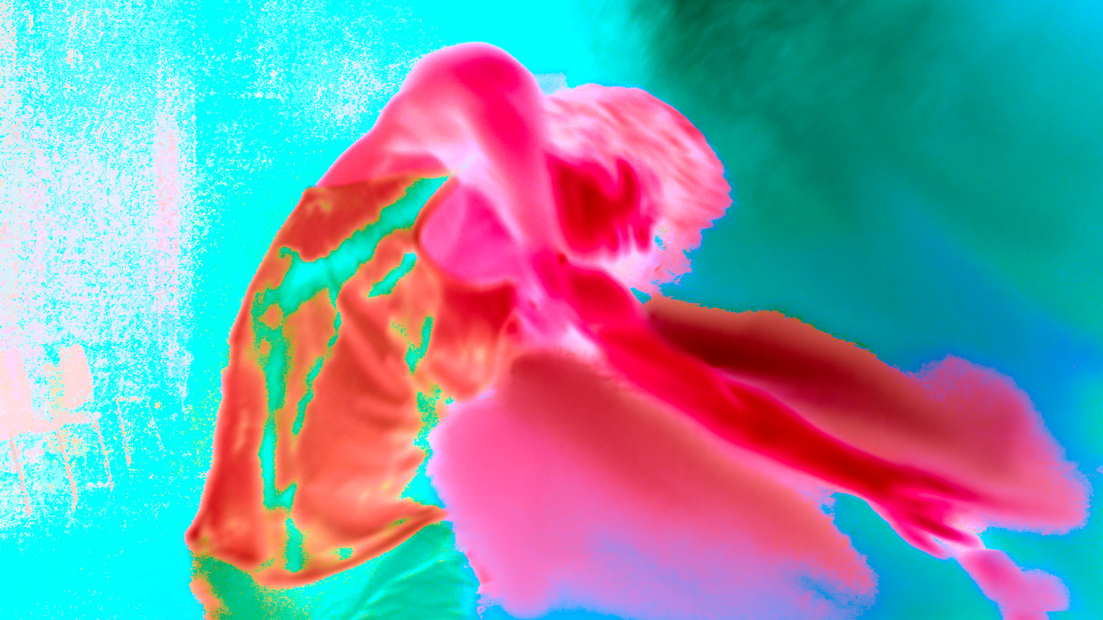 asphalt Festival, Bilderzerstörer