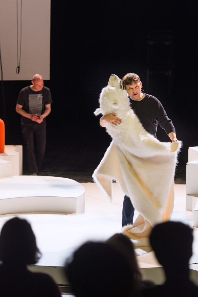 Chinchilla Arschloch, waswas -05 
&copy; Robert Schittko