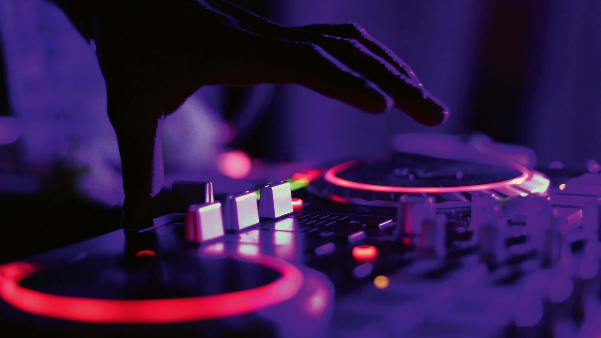 asphalt Festival, asphalt Festival x THE DORF x Friends