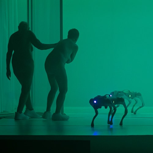 A Year without Summer