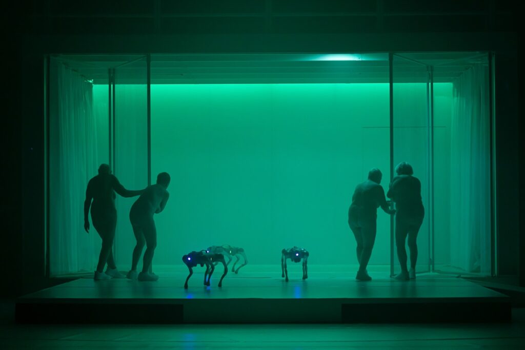 Asphalt Festival 2026 SL 1920 A Year Without Summer Foto Mayra Wallraff 1024x683