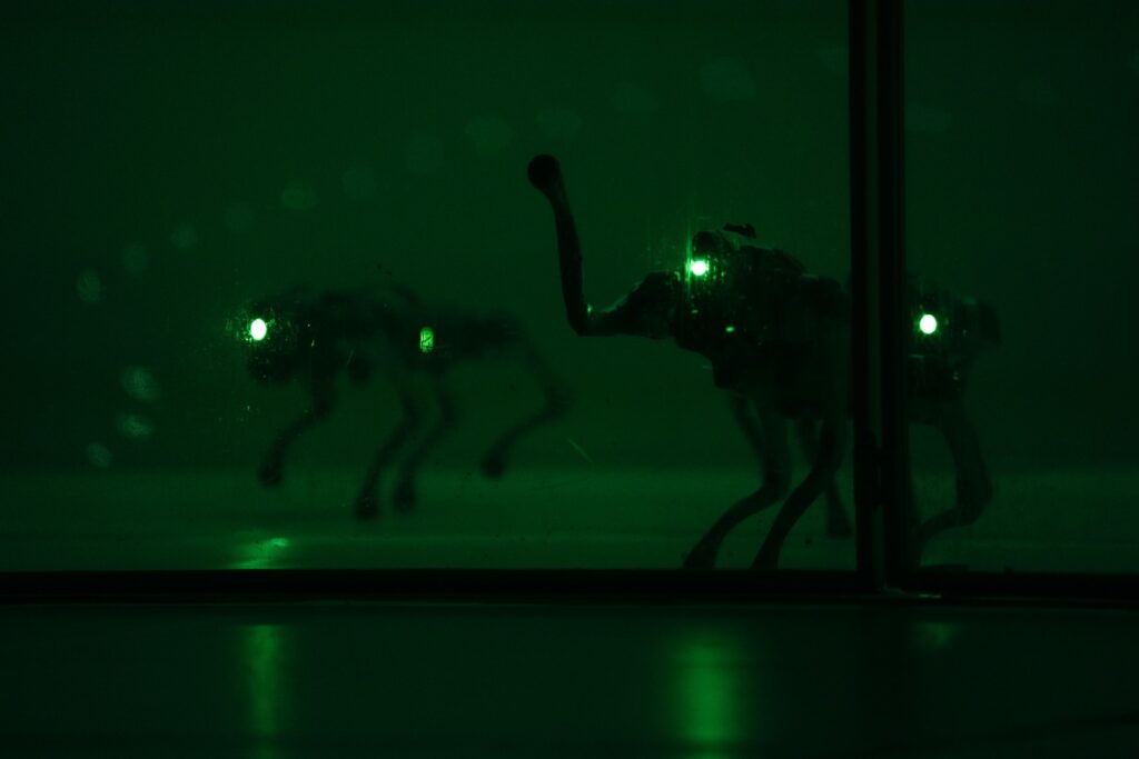 Asphalt Festival 2026 SL 1920 A Year Without Summer Foto Nicole Marianna Wytyczak 11 1024x683